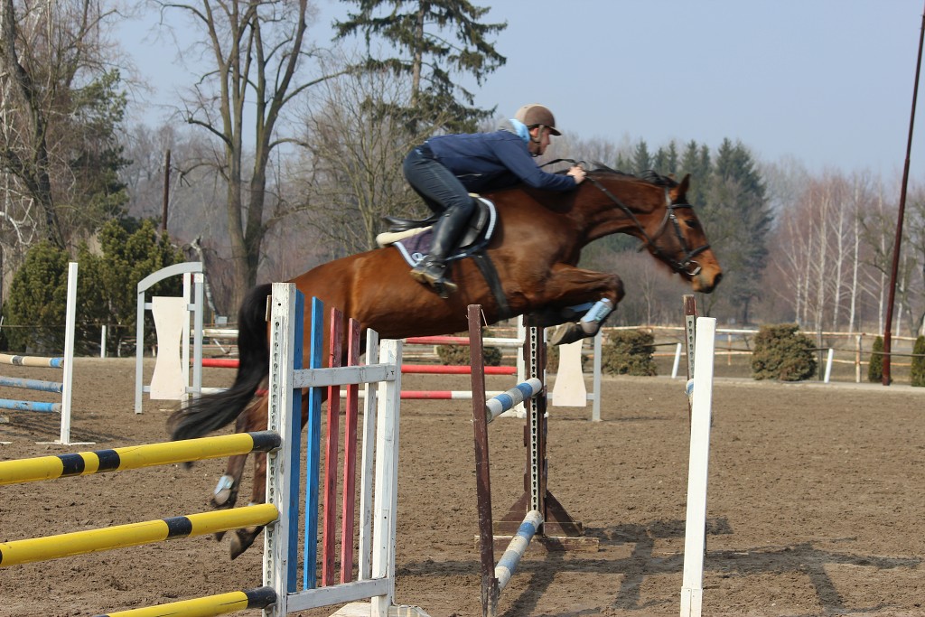 Hobby 31. b�ezna 2013 13:22:40