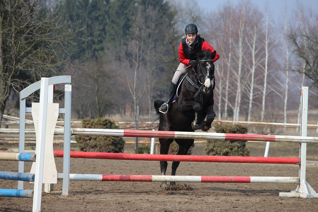 Hobby 31. b�ezna 2013 13:23:50