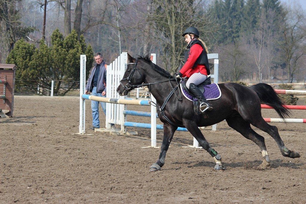 Hobby 31. b�ezna 2013 13:23:53