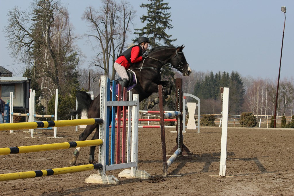 Hobby 31. b�ezna 2013 13:24:14