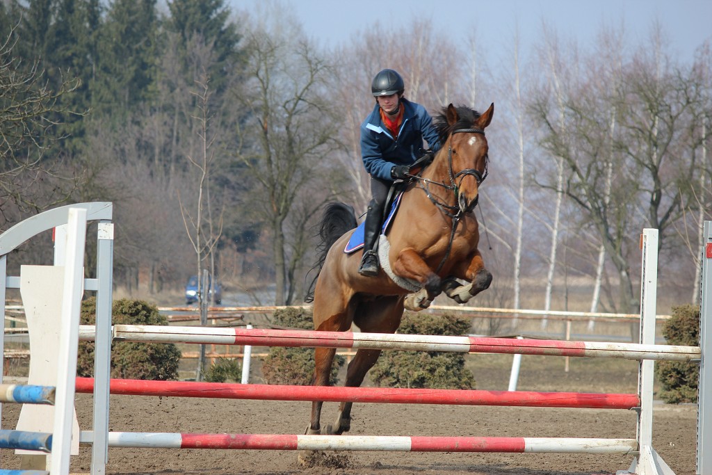 Hobby 31. b�ezna 2013 13:25:23