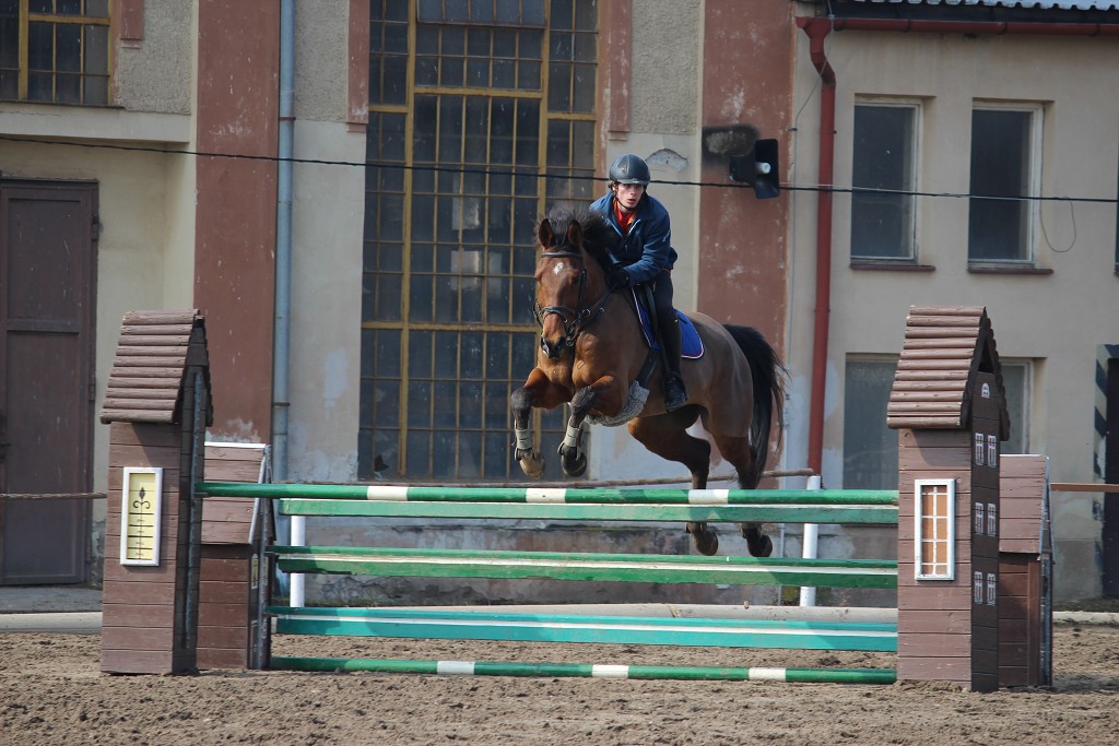 Hobby 31. b�ezna 2013 13:25:41