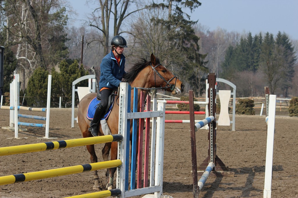 Hobby 31. b�ezna 2013 13:25:48