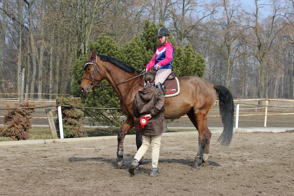 Hobby 31. b�ezna 2013 13:28:44