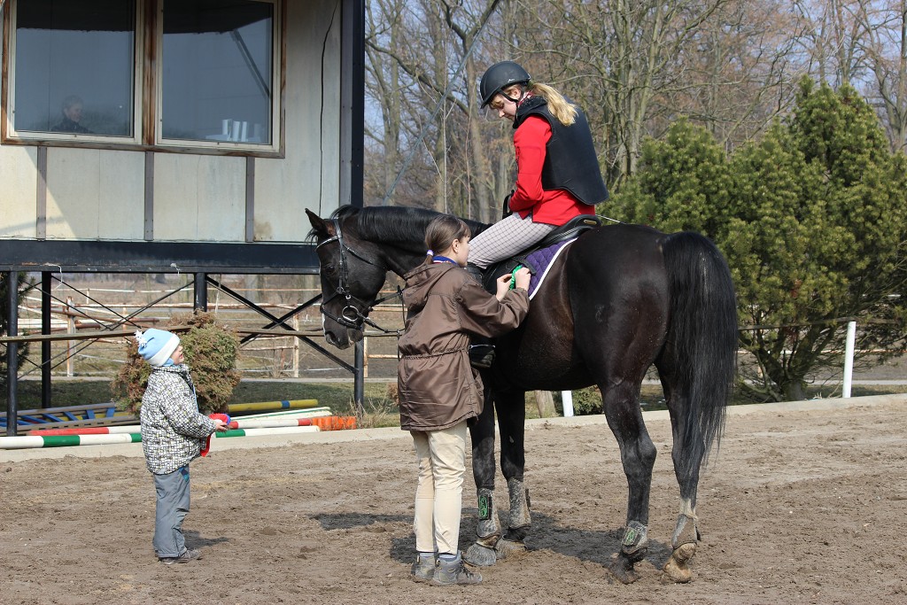 Hobby 31. b�ezna 2013 13:29:04