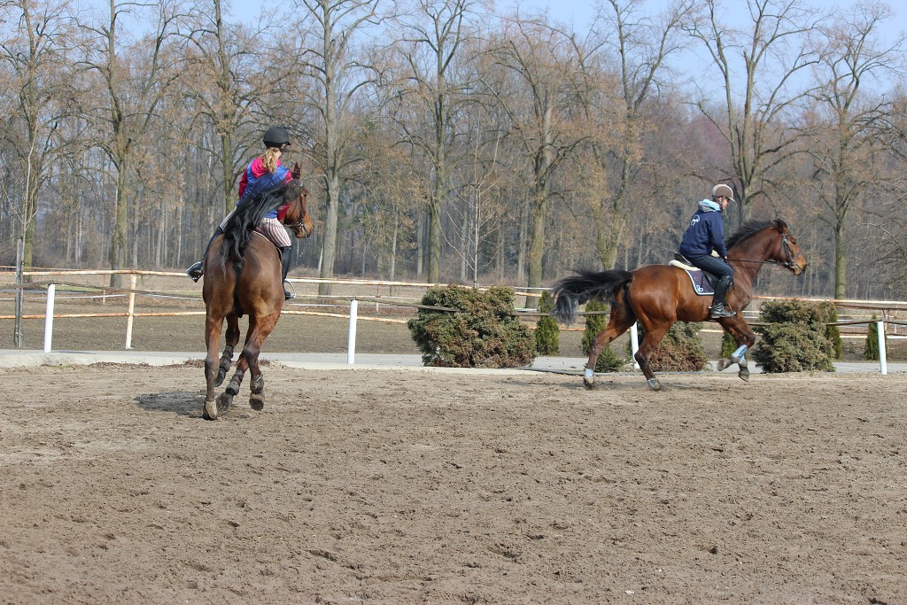 Hobby 31. b�ezna 2013 13:29:18