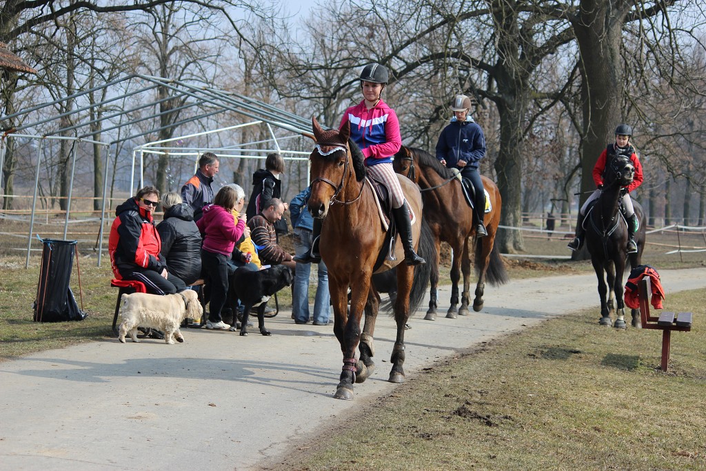 Hobby 31. b�ezna 2013 13:30:38