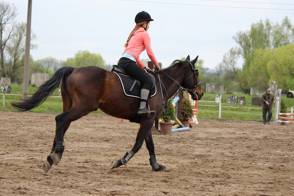 Hobby 28. dubna 2013 10:03:08