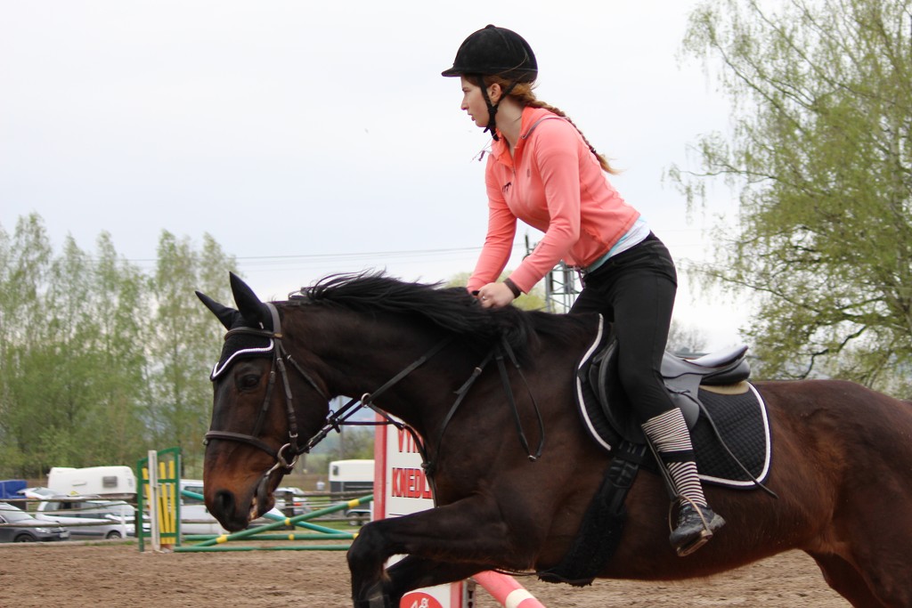 Hobby 28. dubna 2013 10:03:28