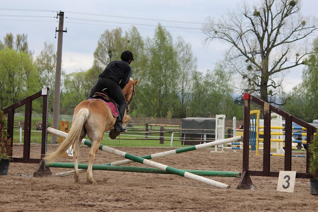 Hobby 28. dubna 2013 10:04:45