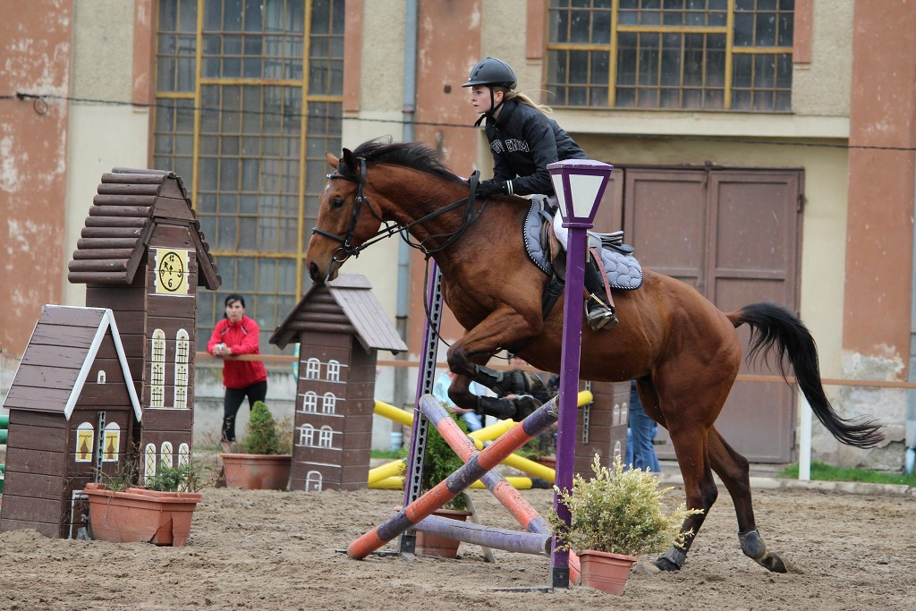 Hobby 28. dubna 2013 10:06:17