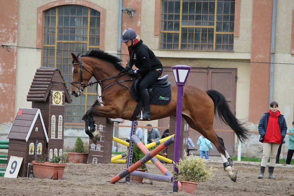 Hobby 28. dubna 2013 10:30:12