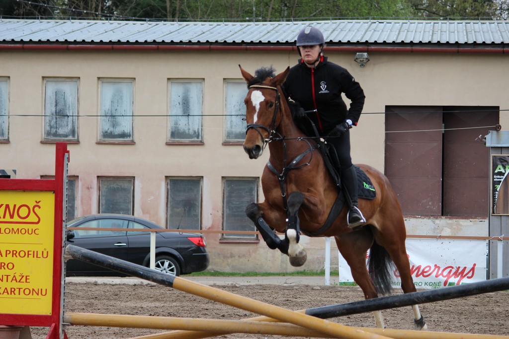 Hobby 28. dubna 2013 10:30:46