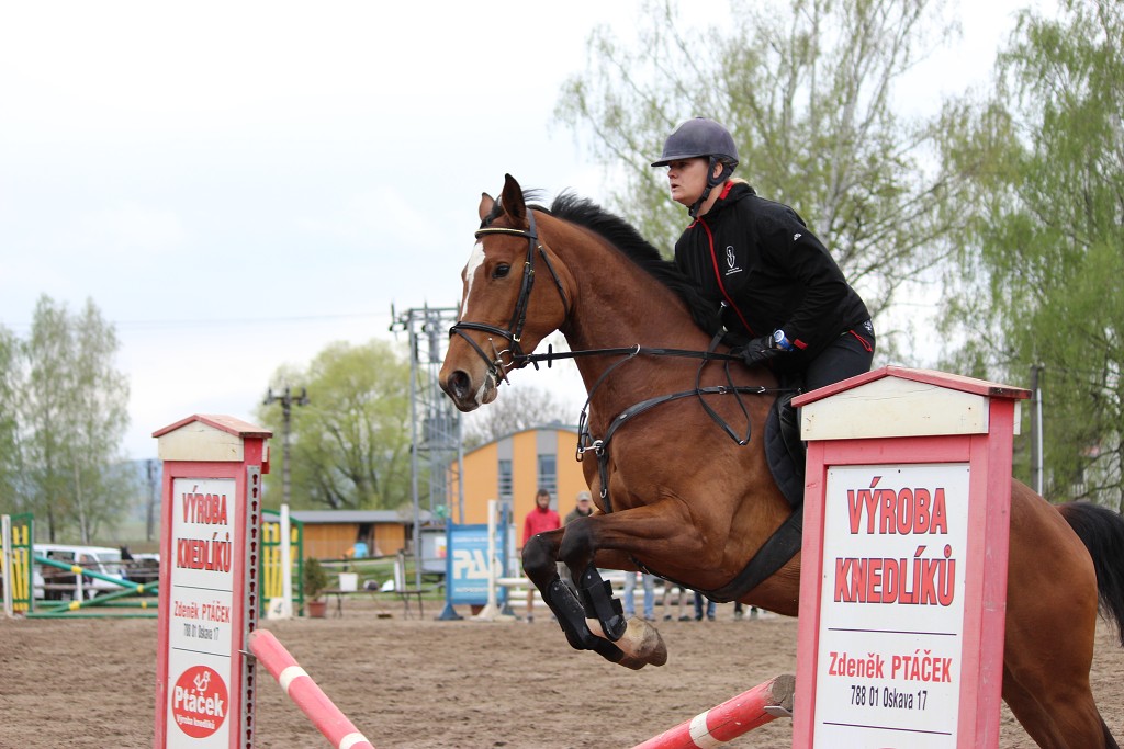 Hobby 28. dubna 2013 10:30:48