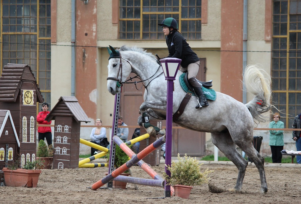 Hobby 28. dubna 2013 10:35:01