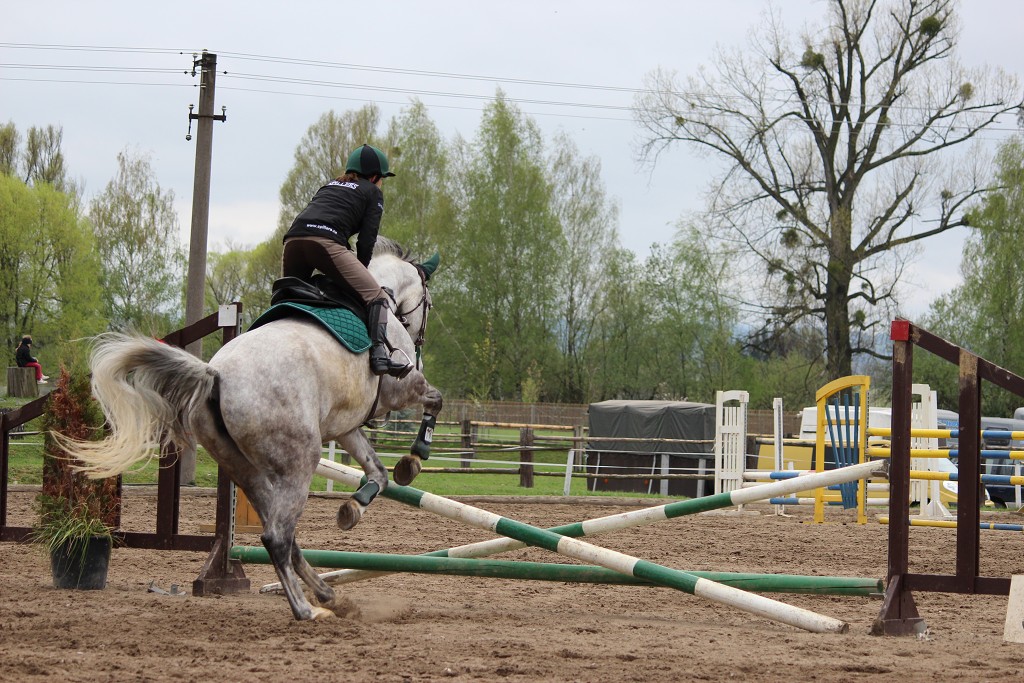 Hobby 28. dubna 2013 10:35:17