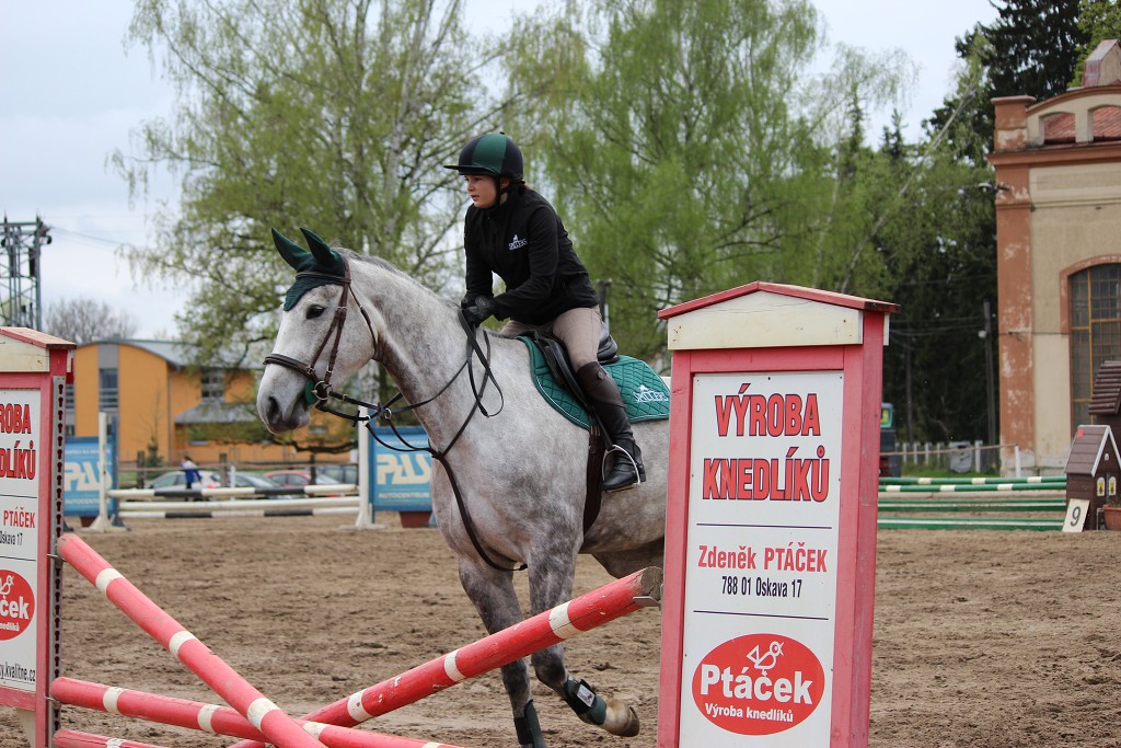 Hobby 28. dubna 2013 10:35:34