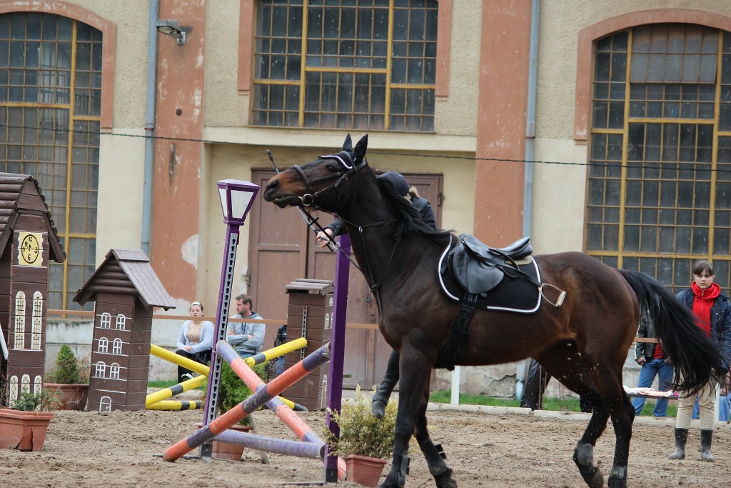 Hobby 28. dubna 2013 10:36:28