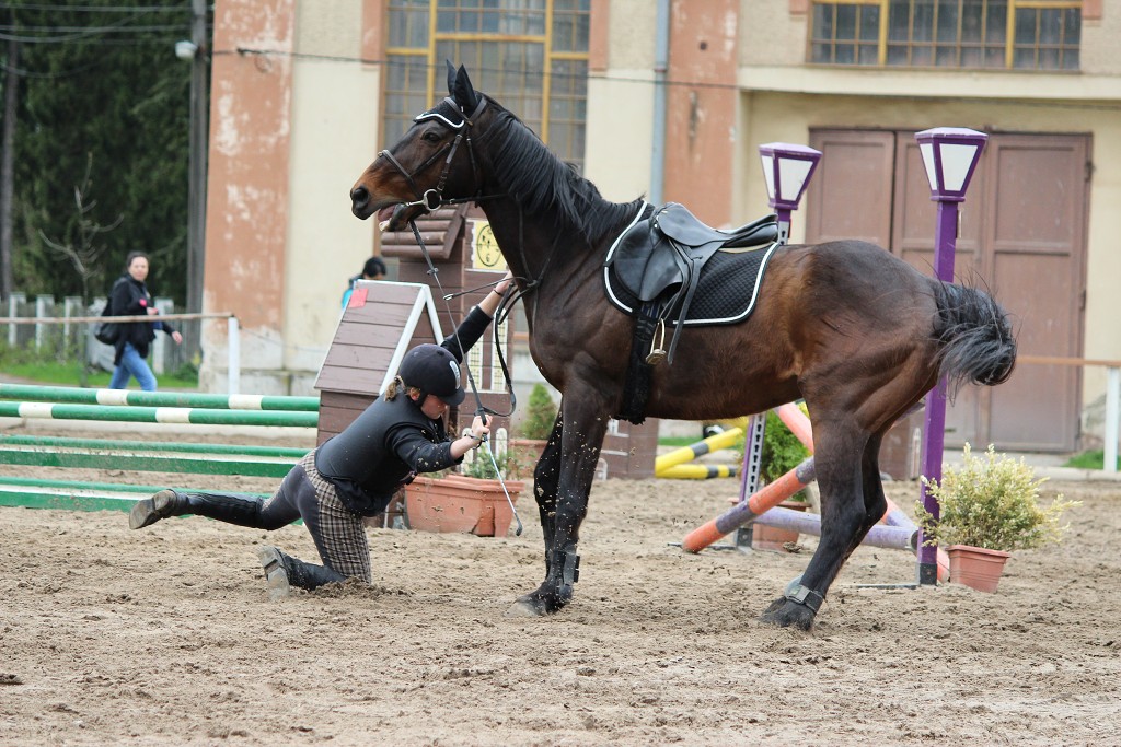 Hobby 28. dubna 2013 10:36:29