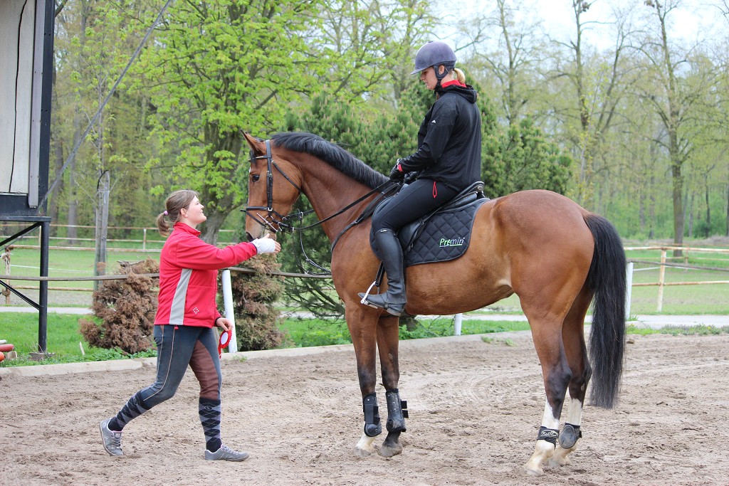 Hobby 28. dubna 2013 10:41:14