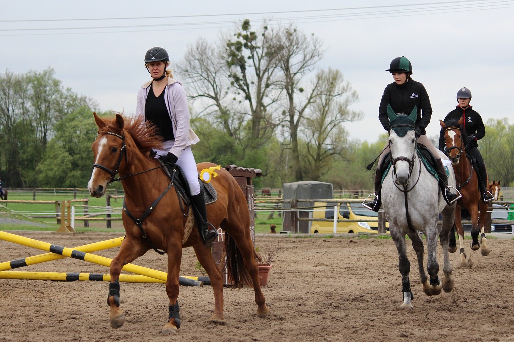 Hobby 28. dubna 2013 10:43:01