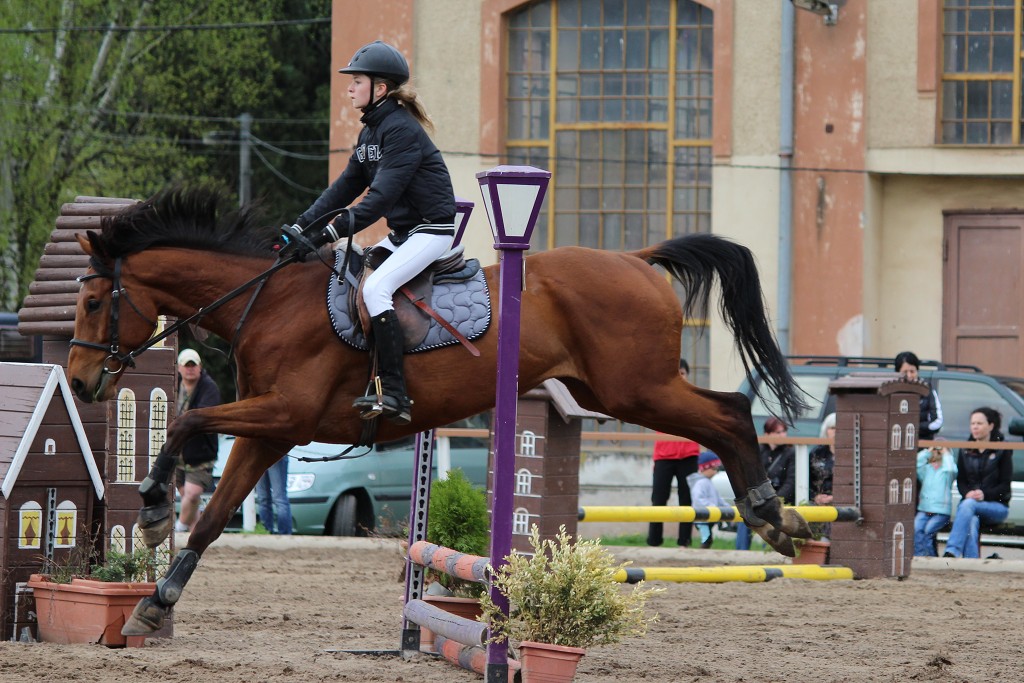 Hobby 28. dubna 2013 11:11:53