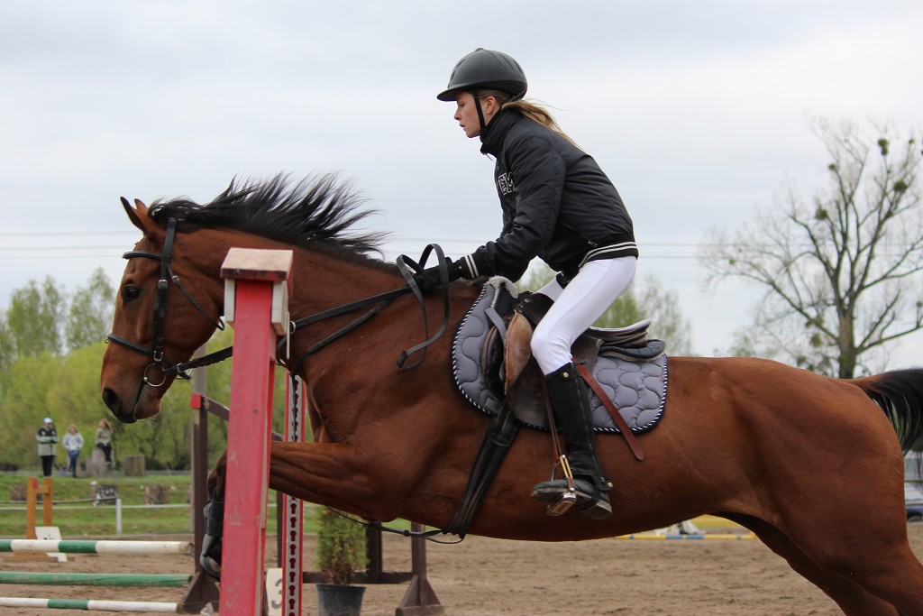 Hobby 28. dubna 2013 11:12:28