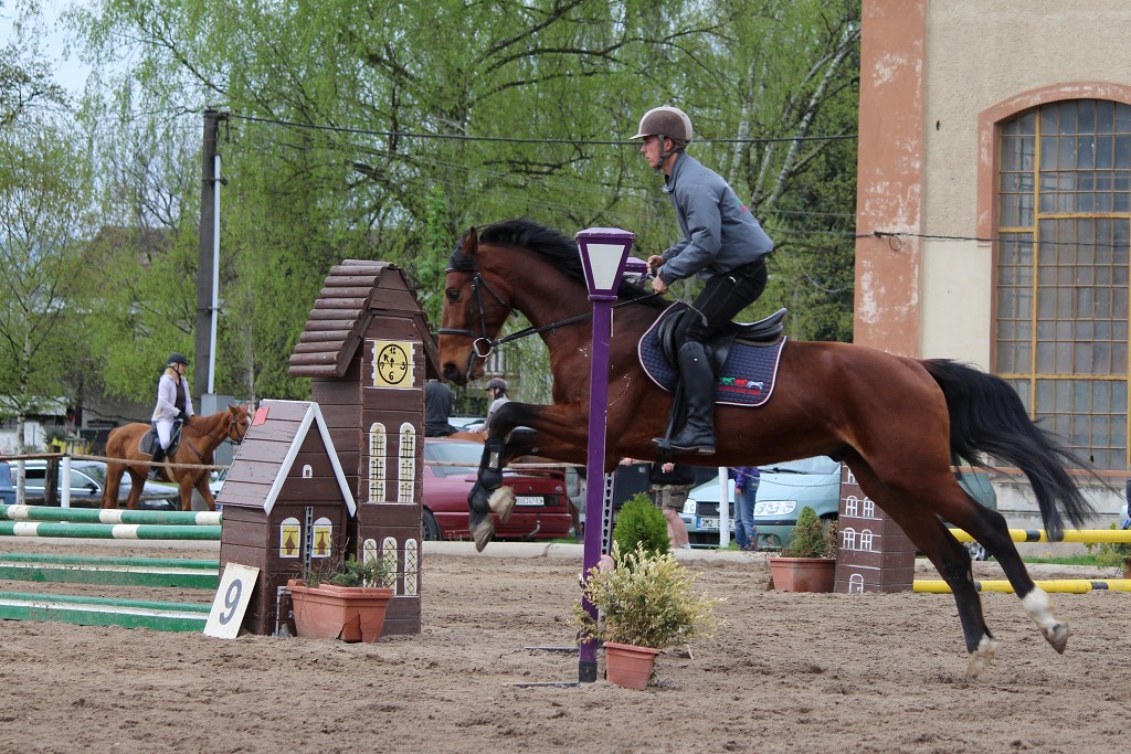 Hobby 28. dubna 2013 11:14:21