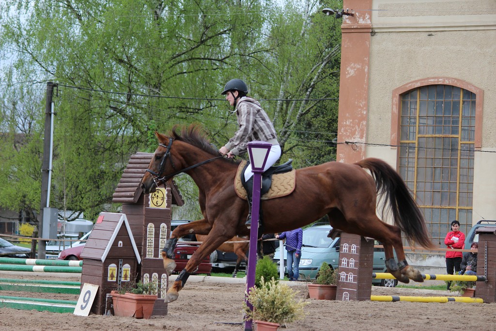 Hobby 28. dubna 2013 11:16:23