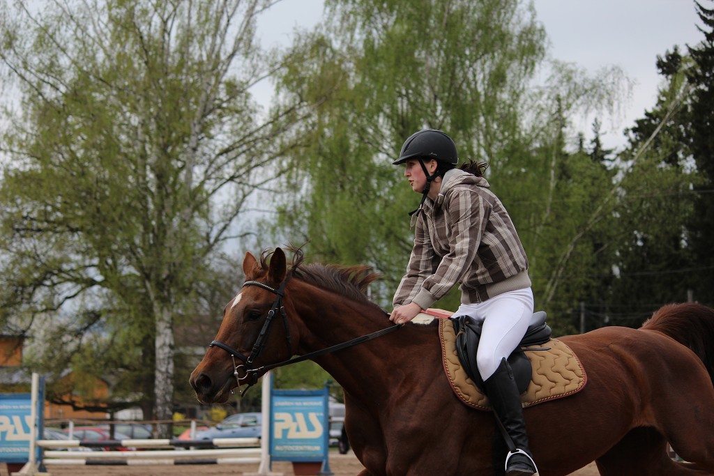 Hobby 28. dubna 2013 11:16:58