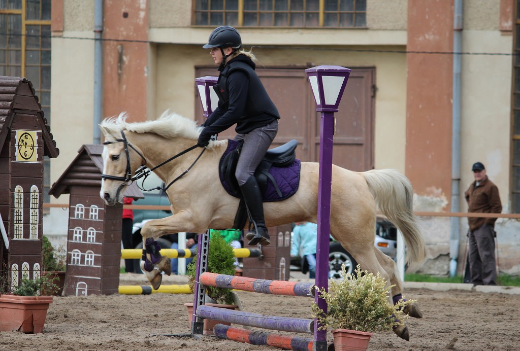 Hobby 28. dubna 2013 11:18:10