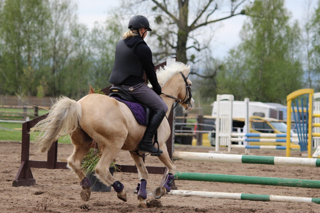 Hobby 28. dubna 2013 11:18:26