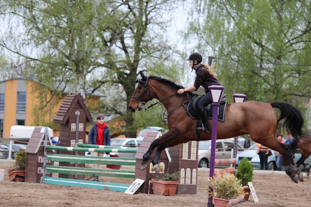 Hobby 28. dubna 2013 13:23:56