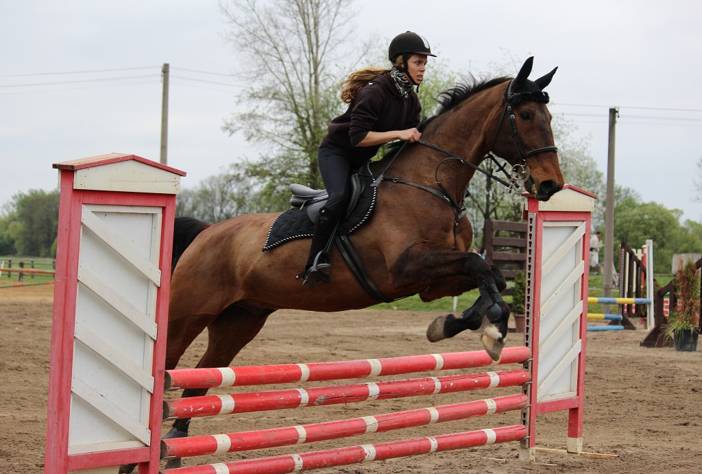 Hobby 28. dubna 2013 13:24:11