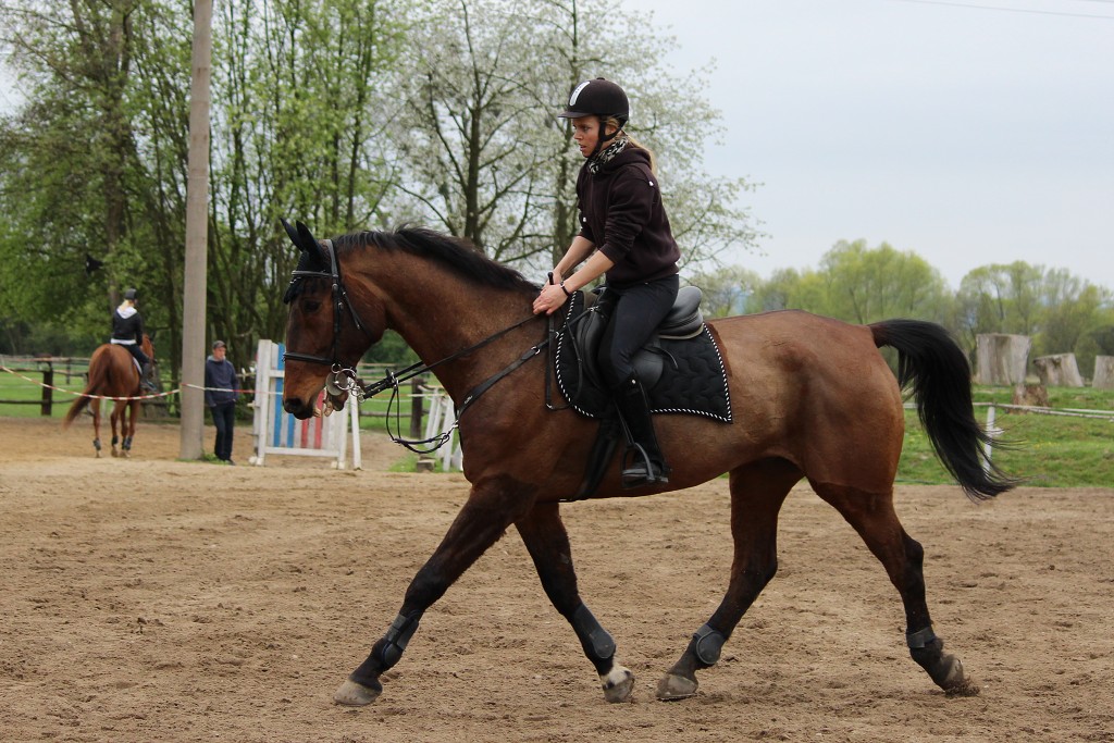 Hobby 28. dubna 2013 13:25:00