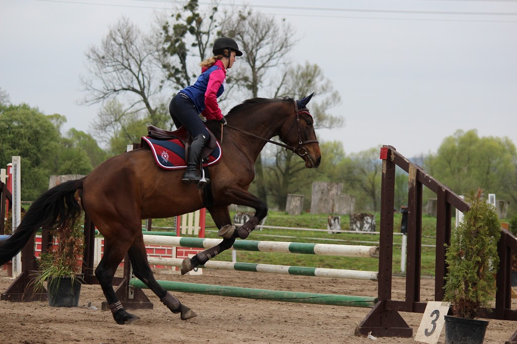 Hobby 28. dubna 2013 13:25:29