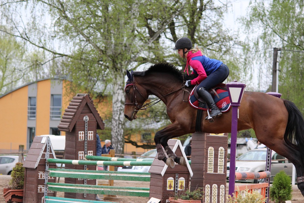 Hobby 28. dubna 2013 13:25:44