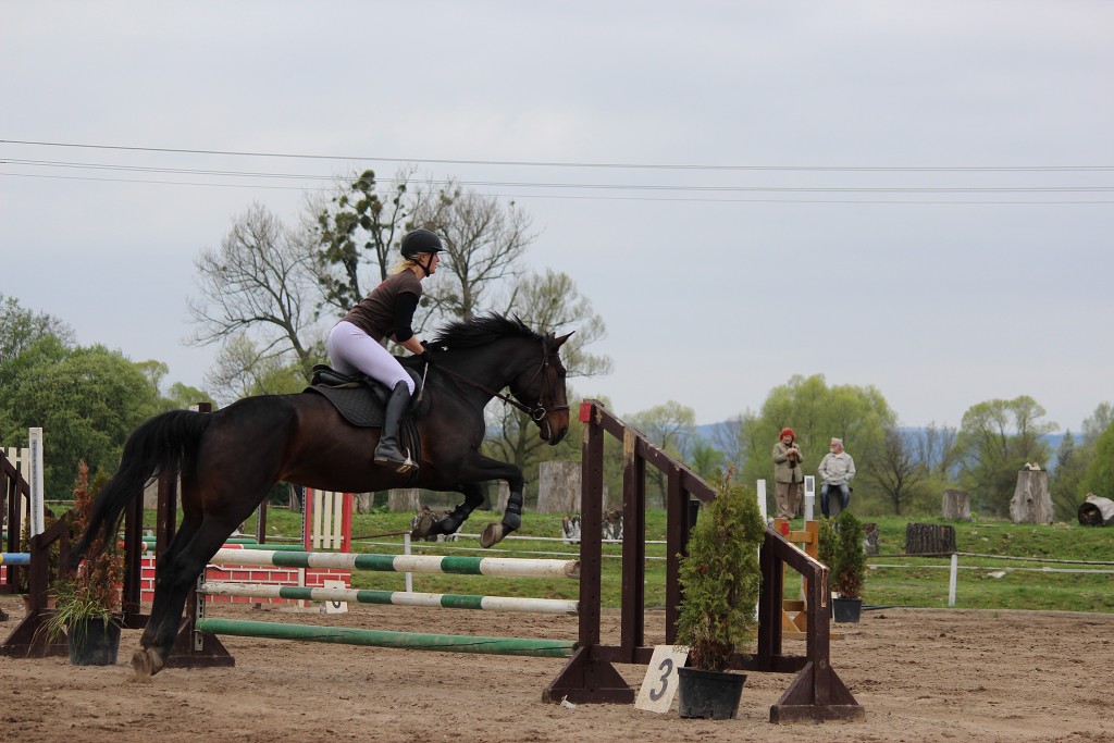 Hobby 28. dubna 2013 13:27:25