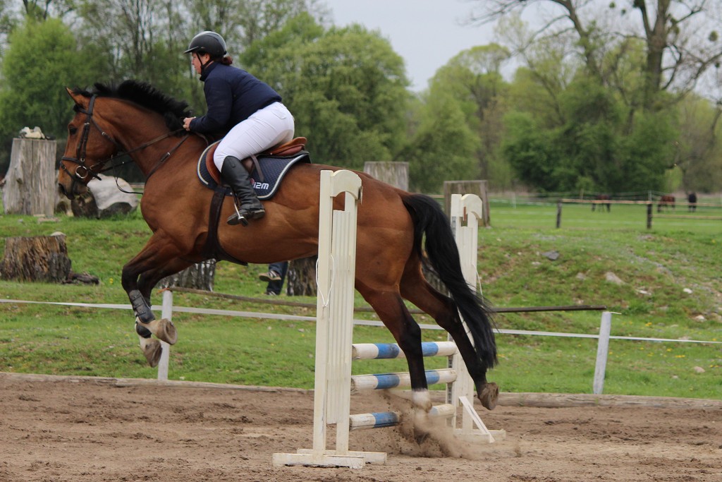 Hobby 28. dubna 2013 13:30:26