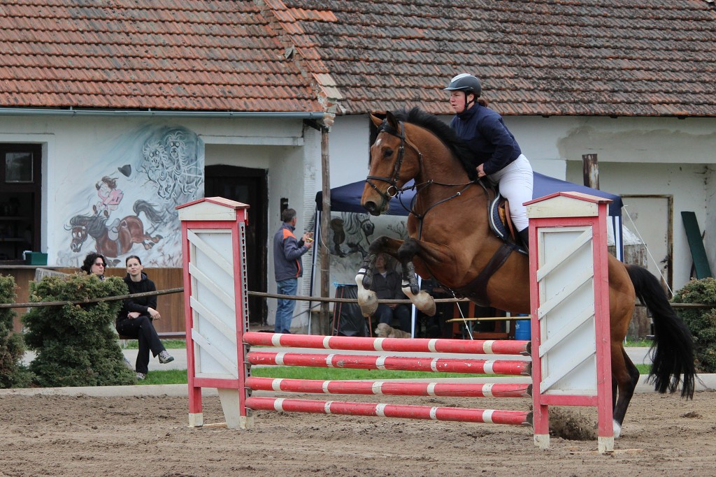 Hobby 28. dubna 2013 13:31:16