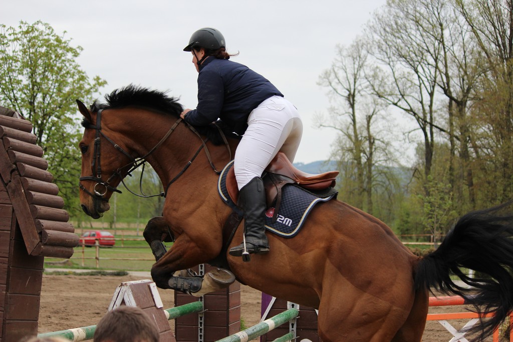 Hobby 28. dubna 2013 13:31:40