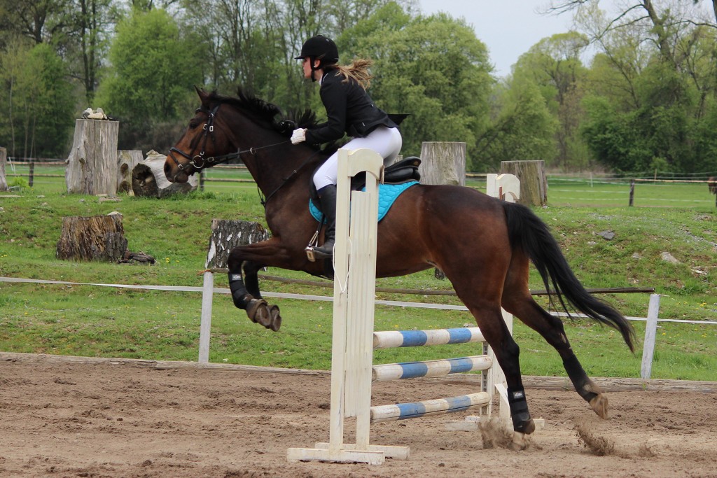 Hobby 28. dubna 2013 13:37:20