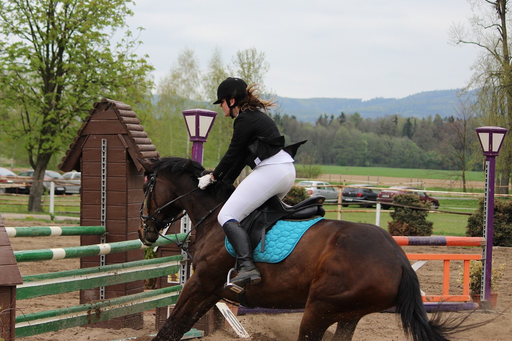 Hobby 28. dubna 2013 13:38:38