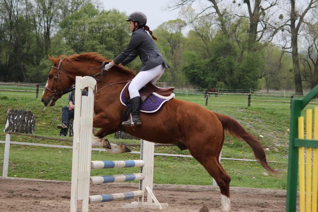 Hobby 28. dubna 2013 13:40:35