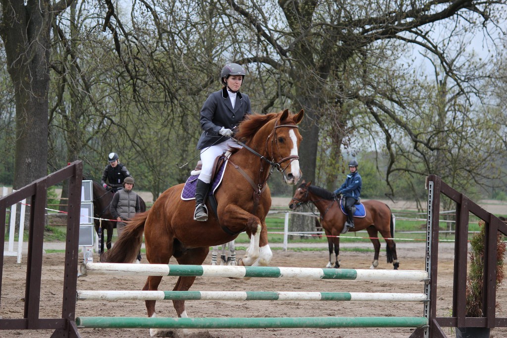 Hobby 28. dubna 2013 13:40:47