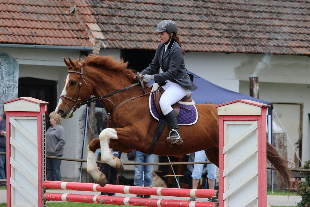 Hobby 28. dubna 2013 13:41:18