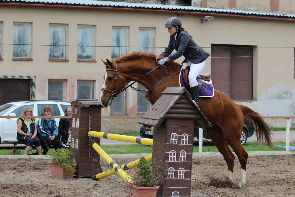 Hobby 28. dubna 2013 13:41:45