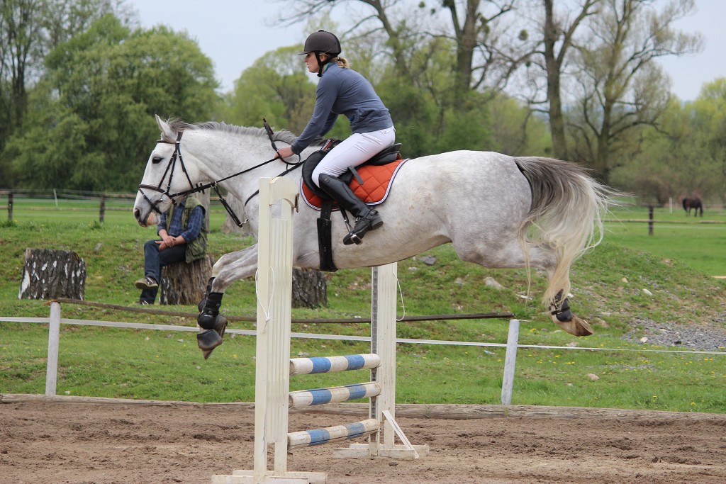 Hobby 28. dubna 2013 13:42:47