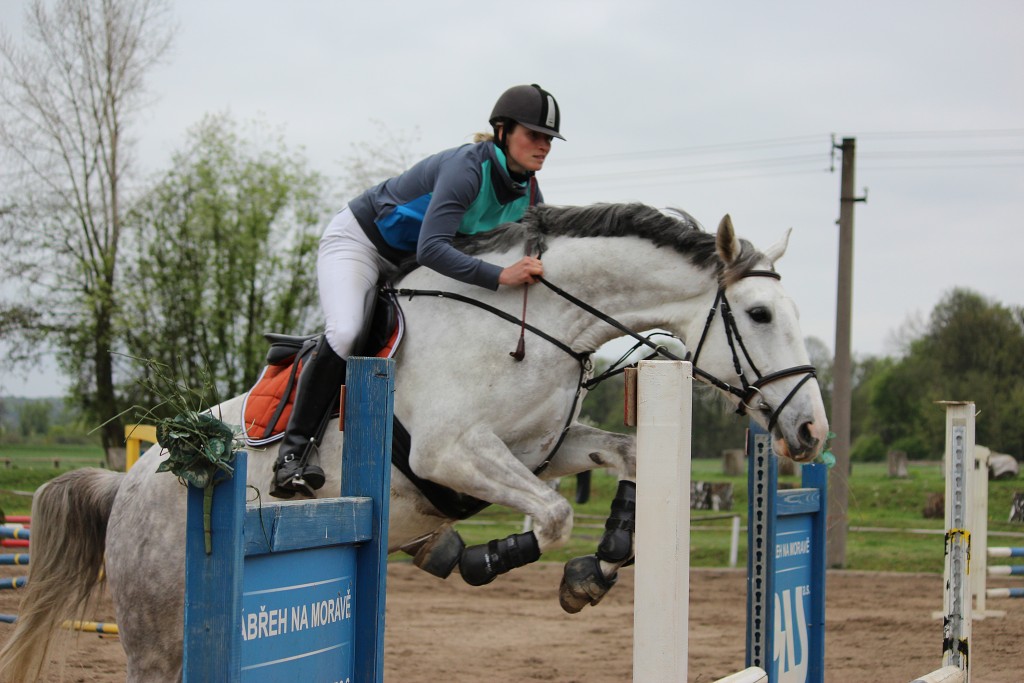 Hobby 28. dubna 2013 13:43:06