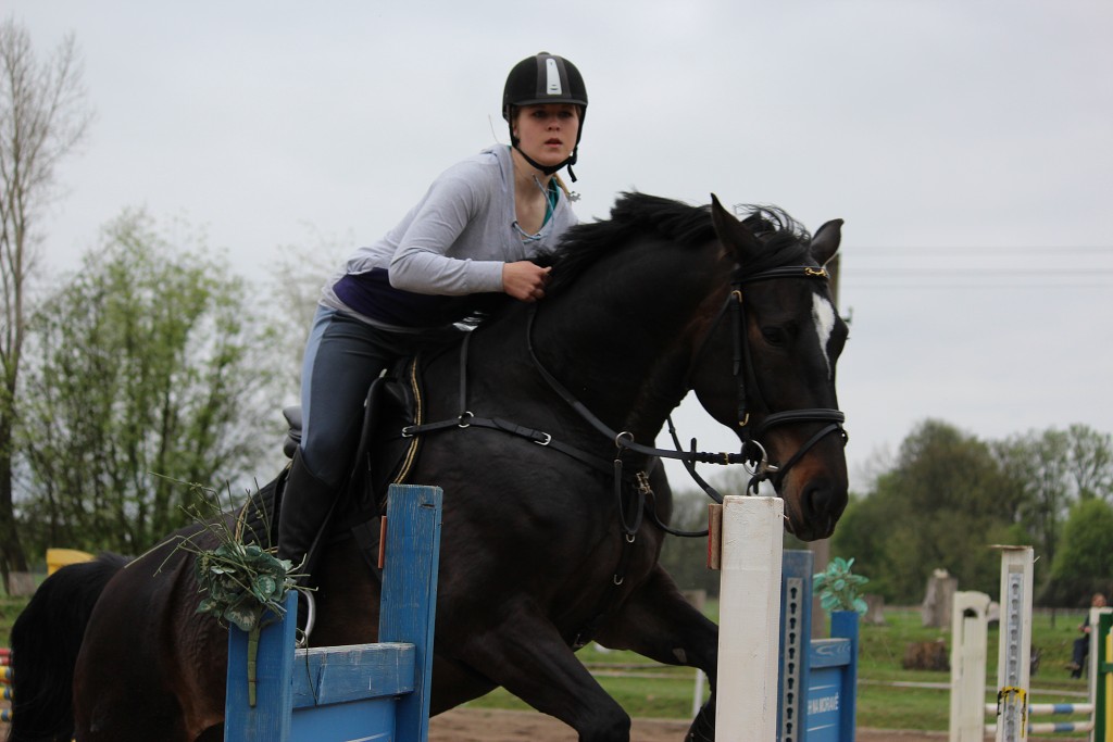 Hobby 28. dubna 2013 13:45:22